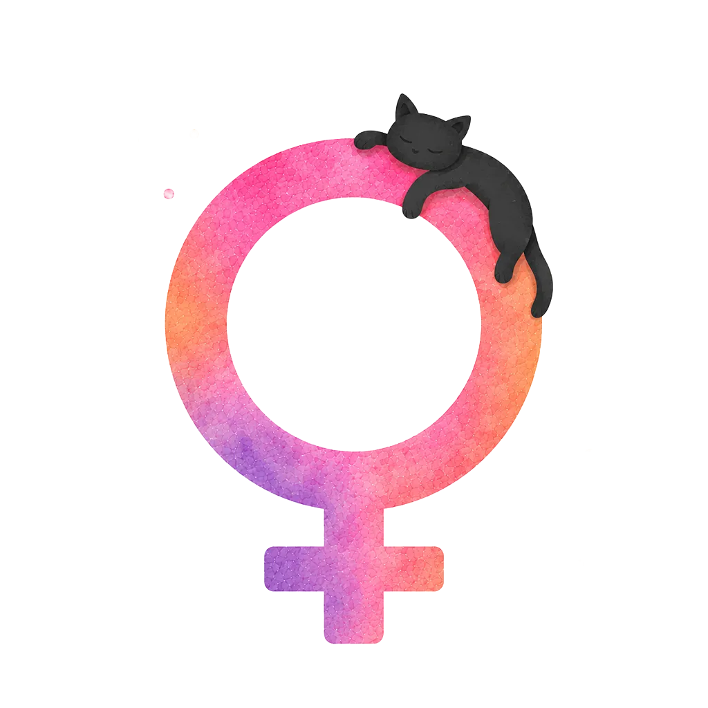 金星の挿絵